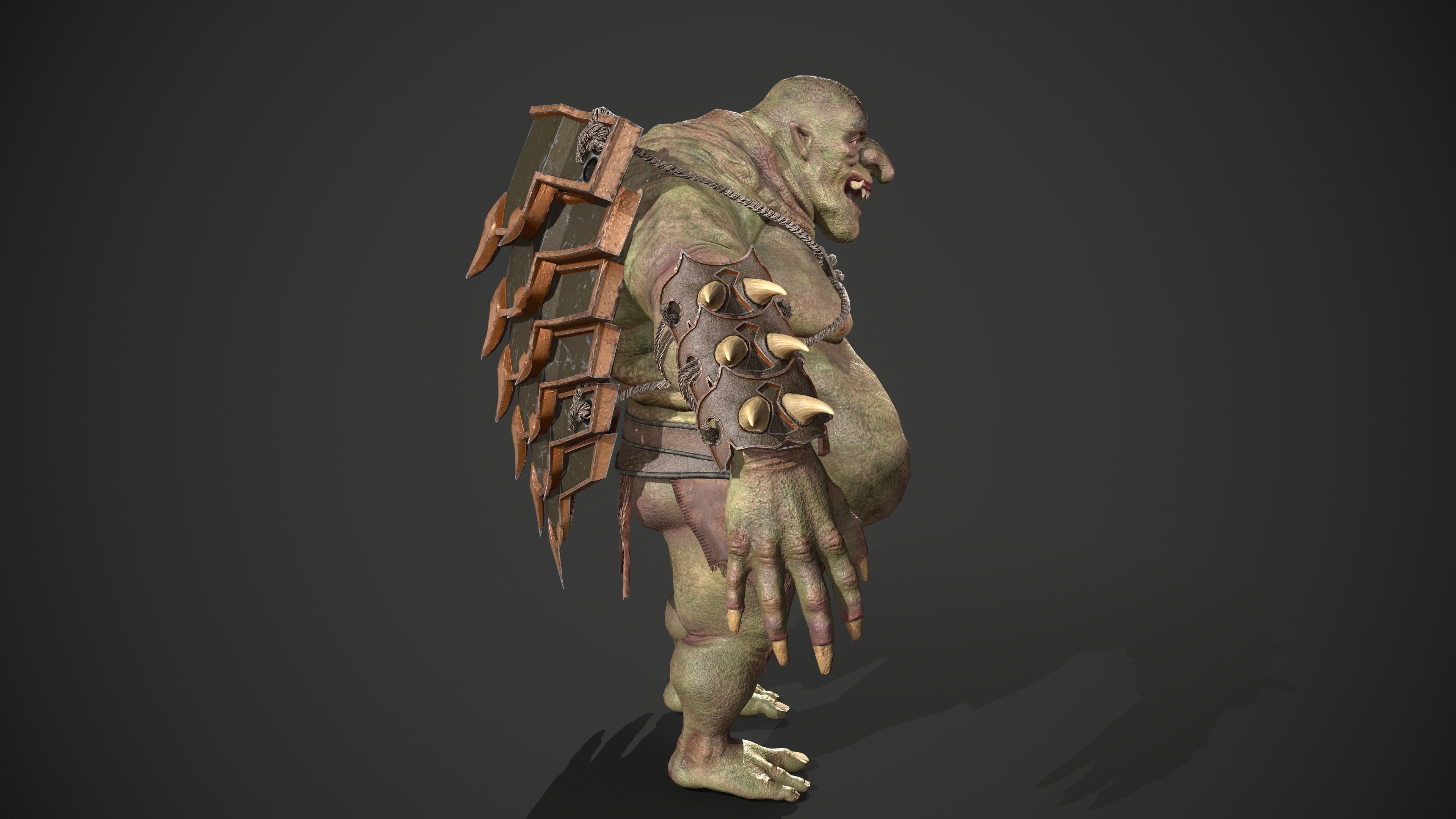 Ogre Turtle Pack 3D Model Collection_7