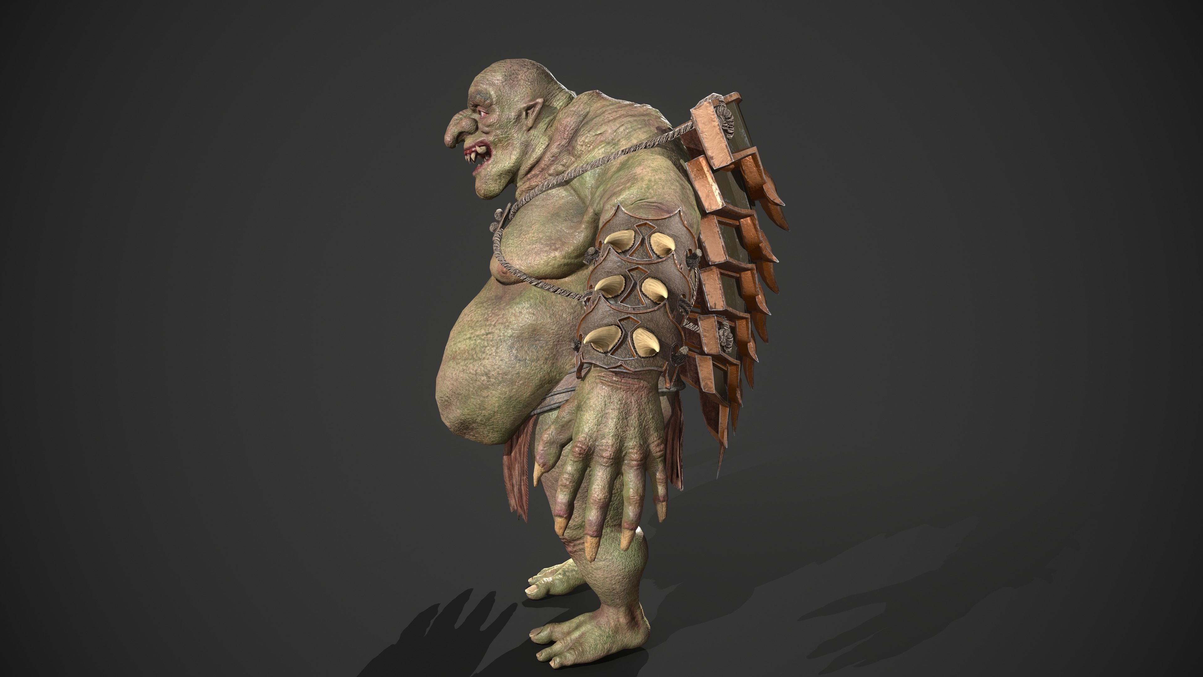 Ogre Turtle Pack 3D Model Collection_12
