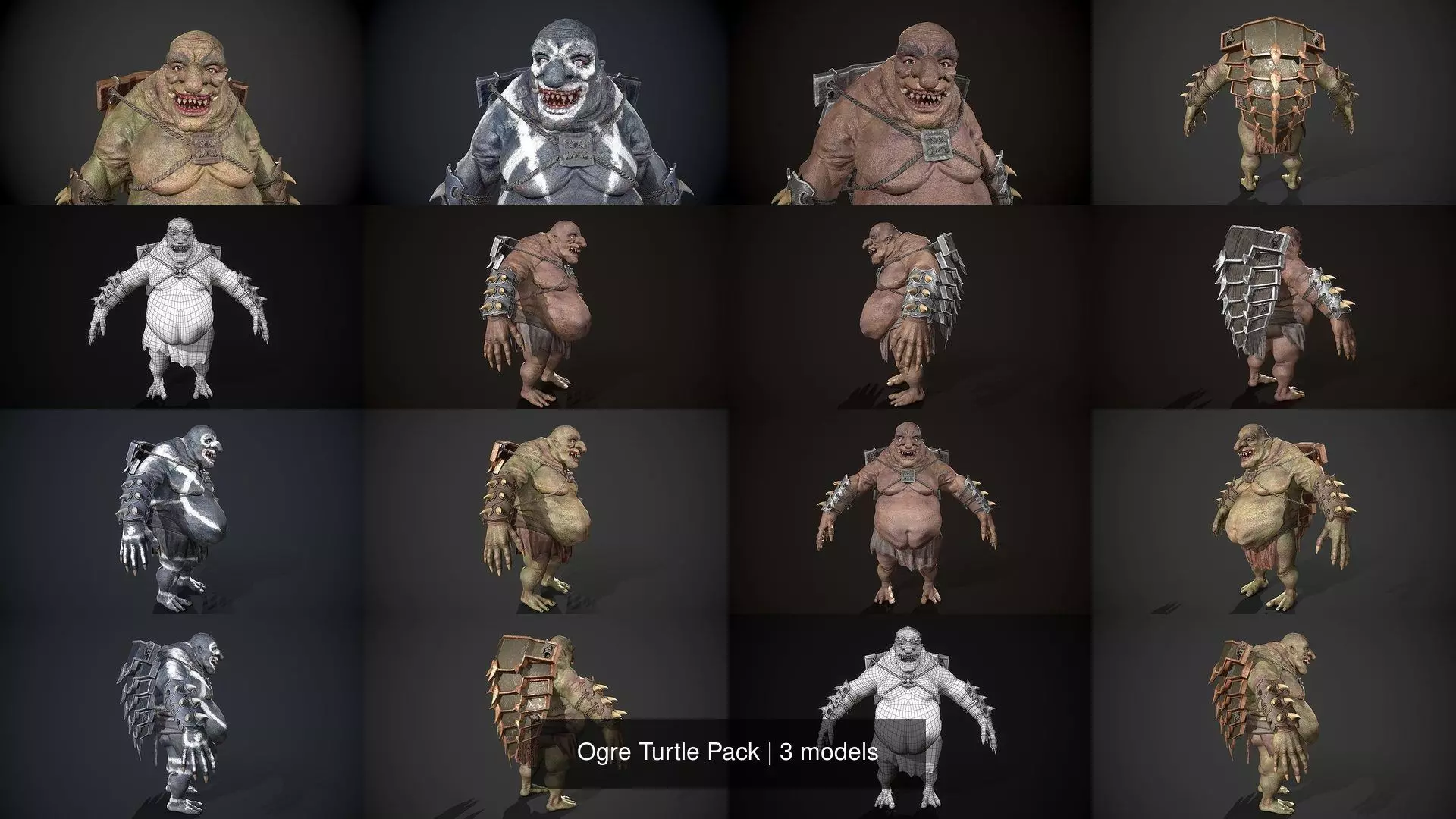 Ogre Turtle Pack 3D Model Collection_1