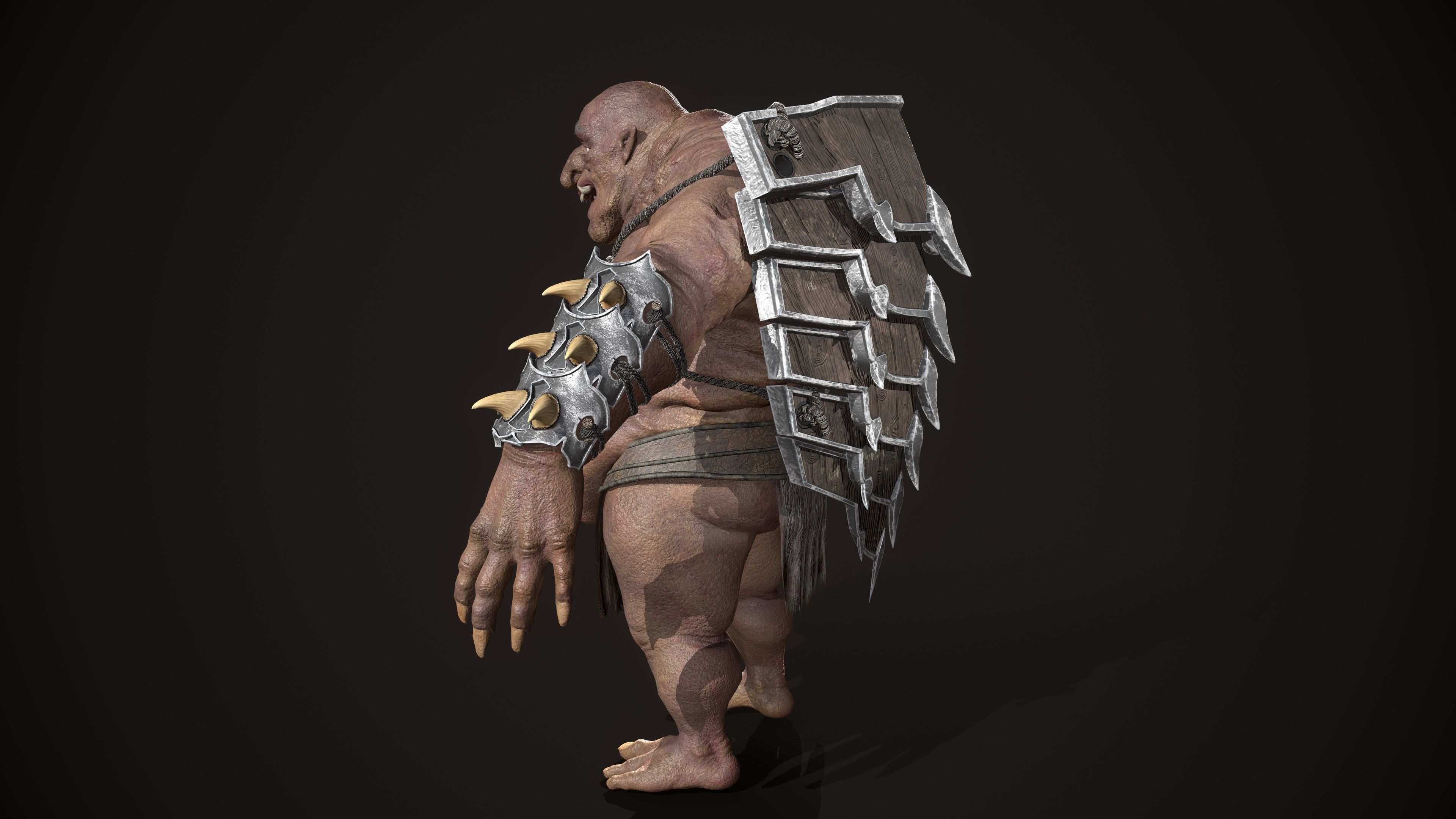 Ogre Turtle Pack 3D Model Collection_28