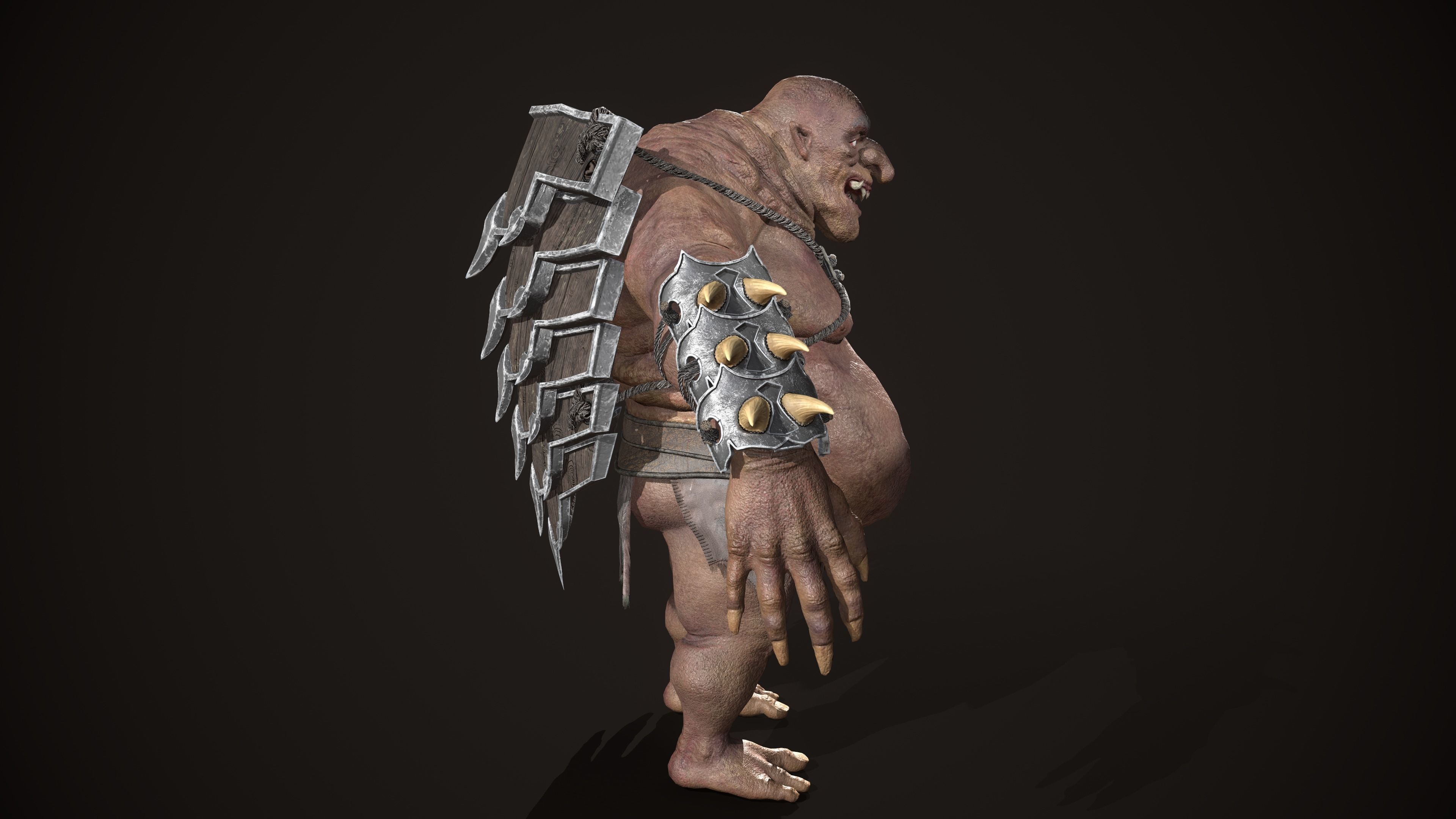 Ogre Turtle Pack 3D Model Collection_23