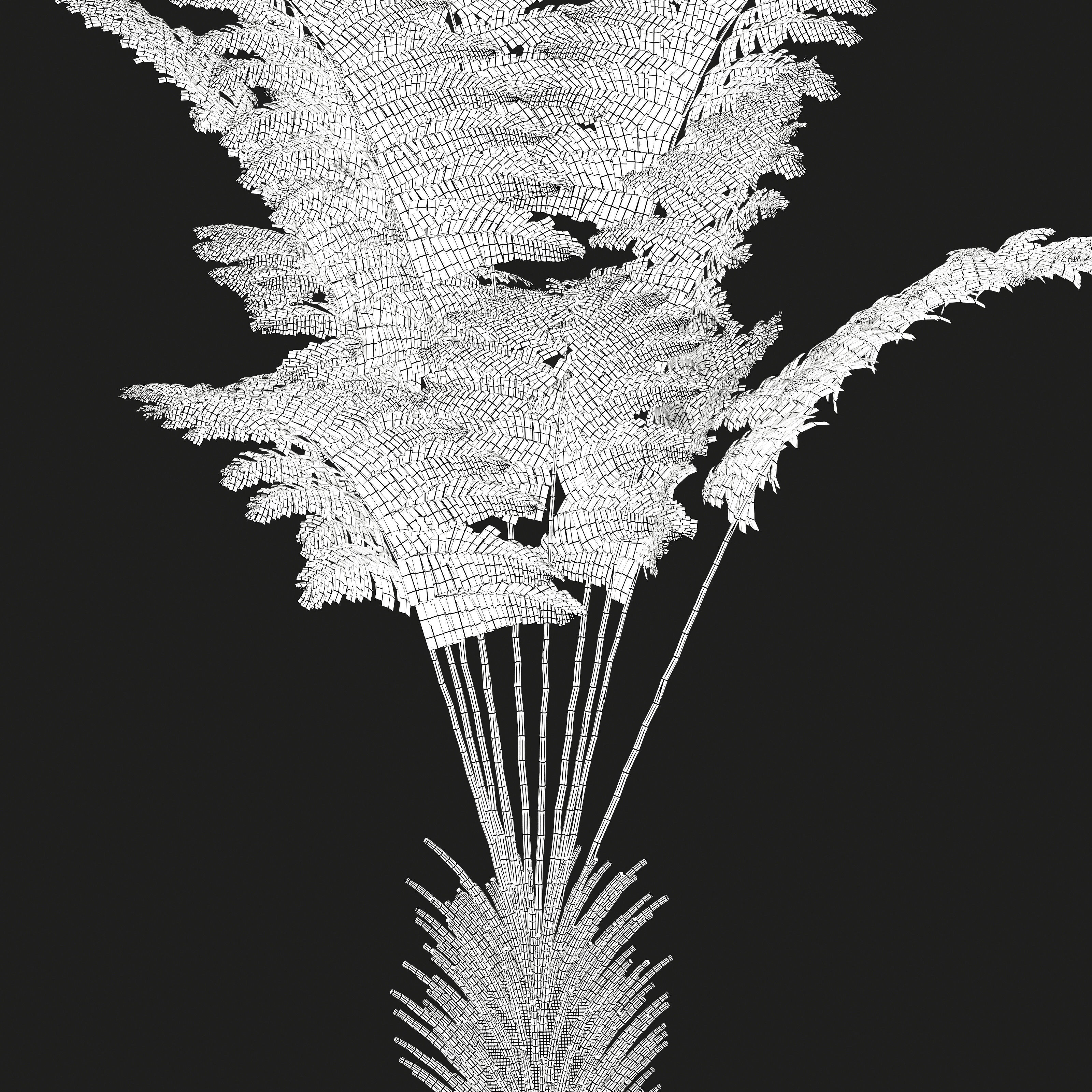 Tree fern 03 3D model_3
