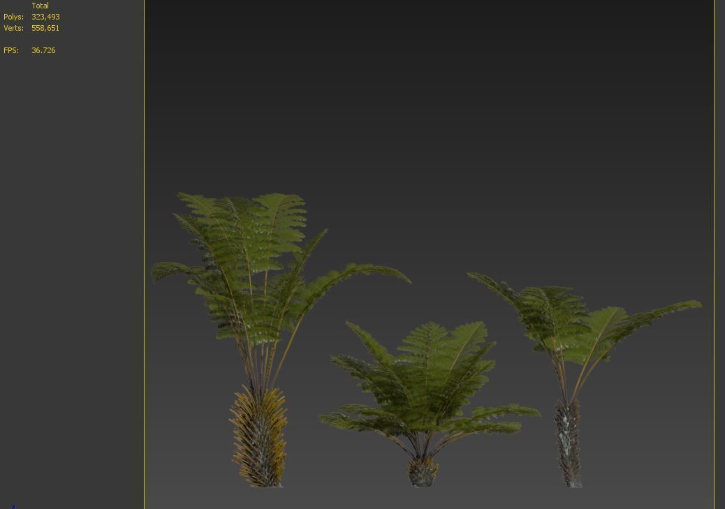 Tree fern 03 3D model_4