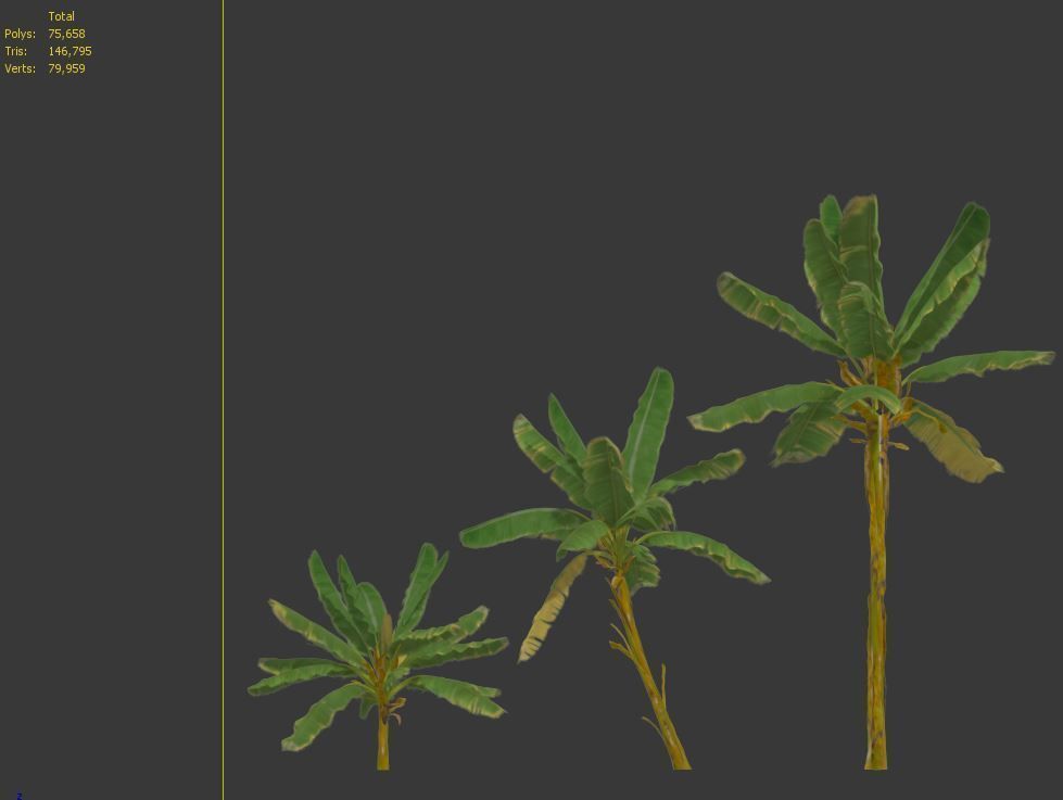 Banana Tree 3D model_5