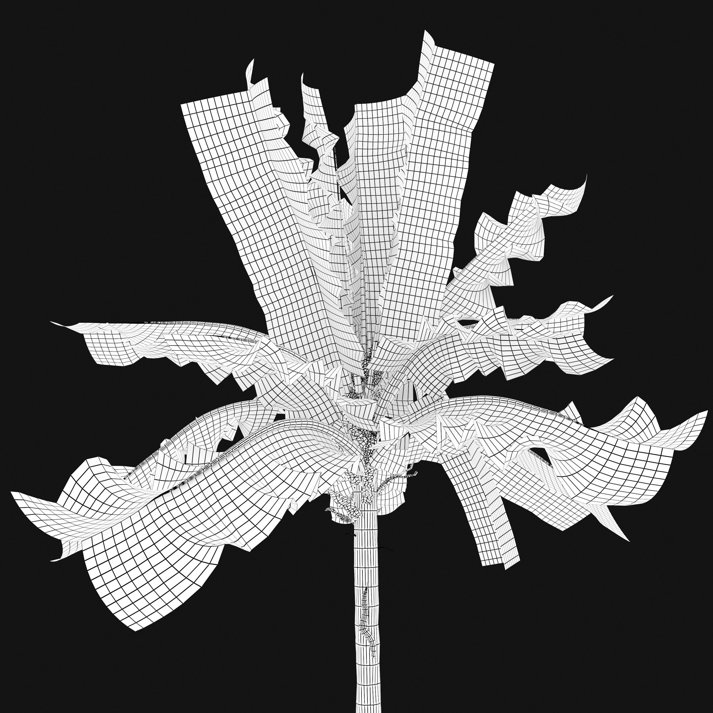 Banana tree 02 3D model_3
