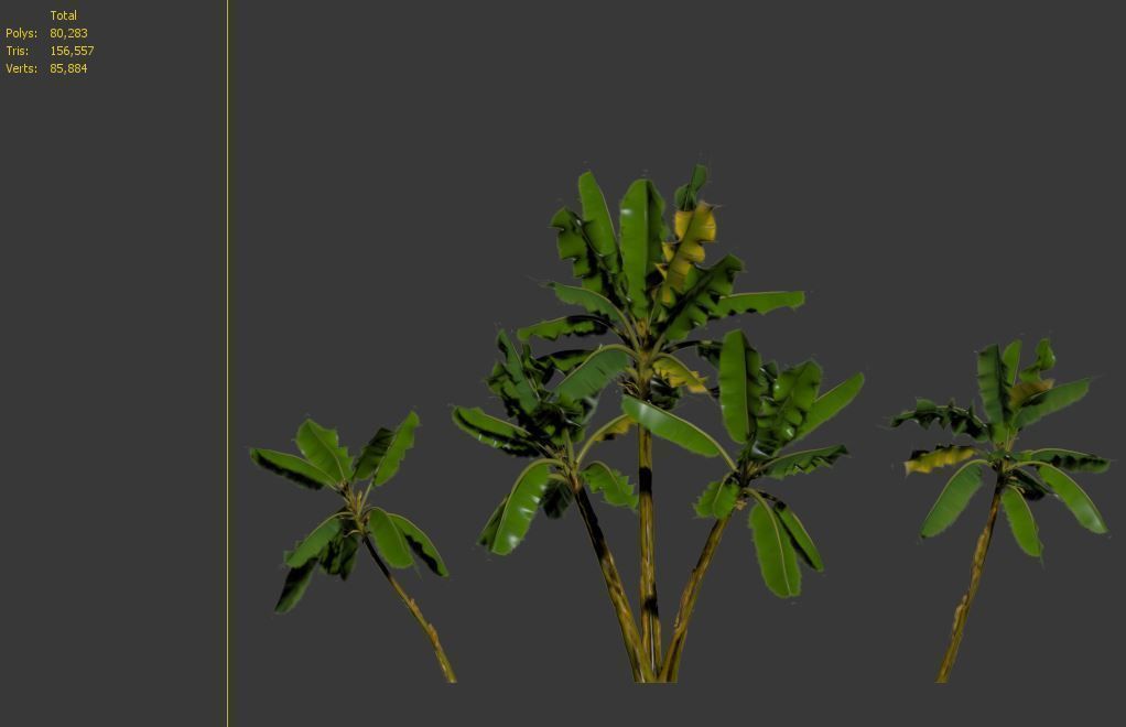 Banana tree 02 3D model_5