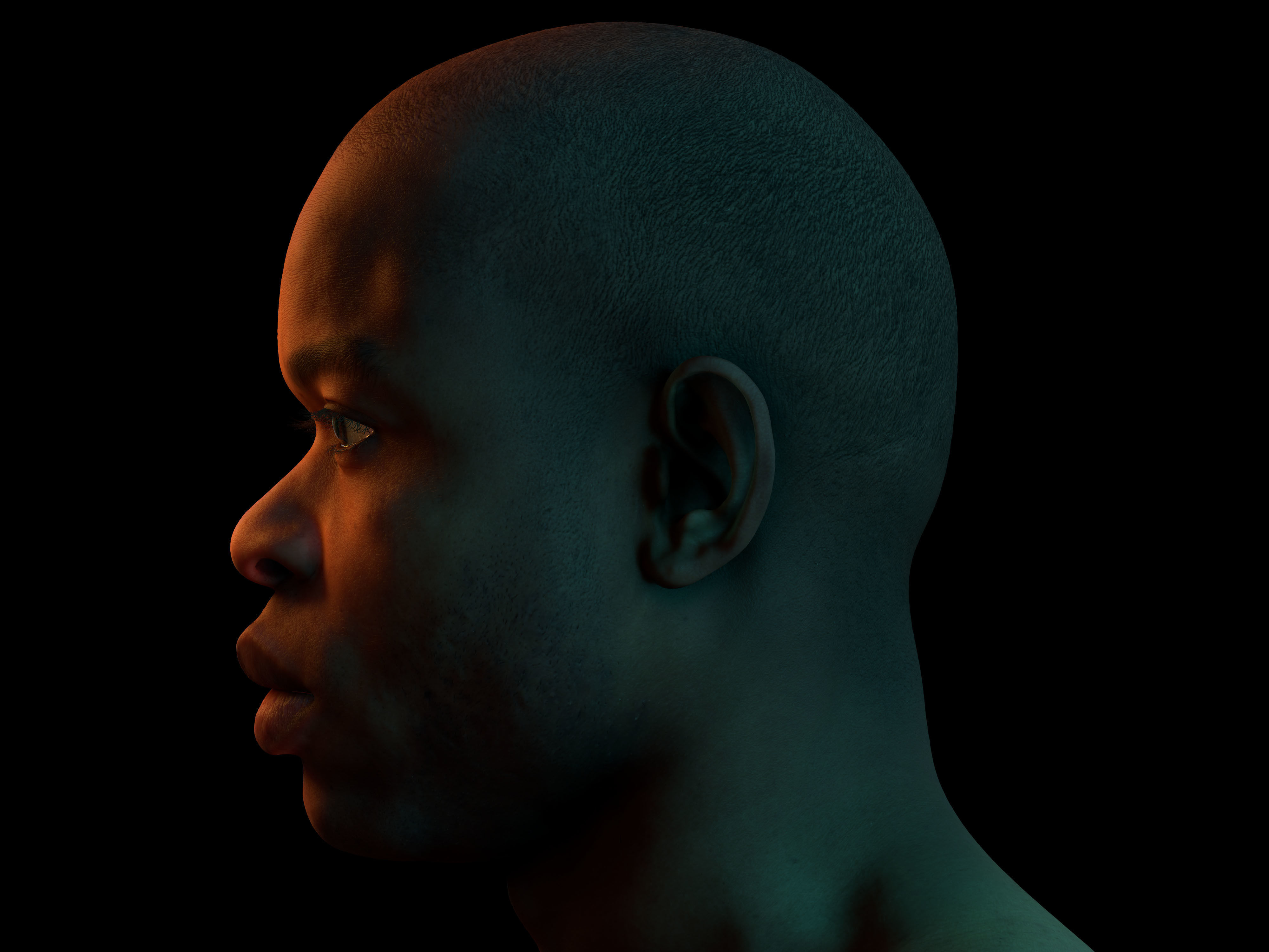 Retopologized Head Scan Denton Allen 3D model_12