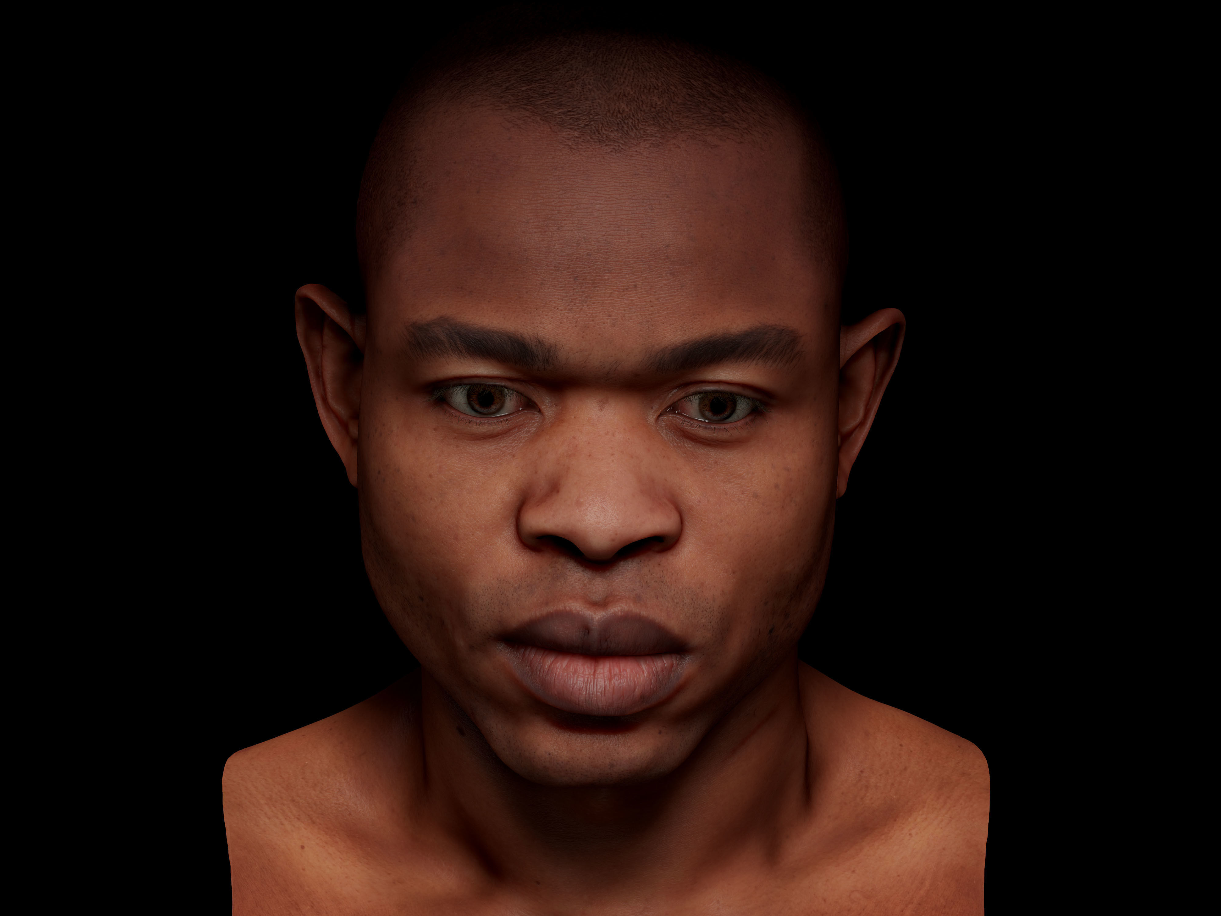 Retopologized Head Scan Denton Allen 3D model_9