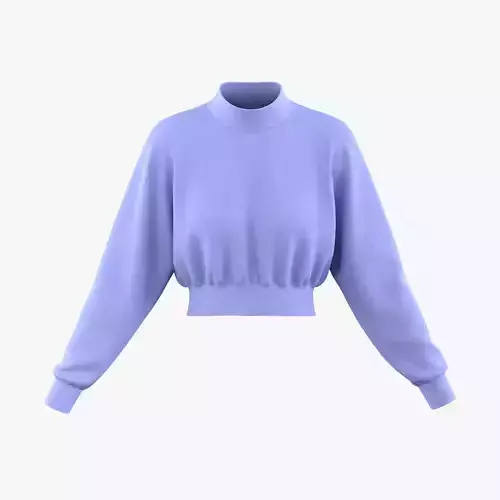 Cropped Sweatshirt 