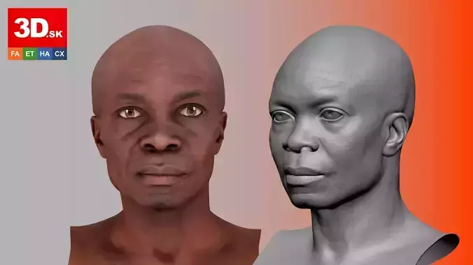 Retopologized Head Scan Eddison Bates