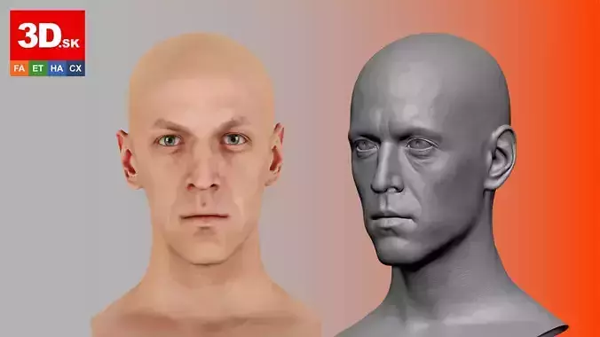 Retopologized Head Rylen Cannon