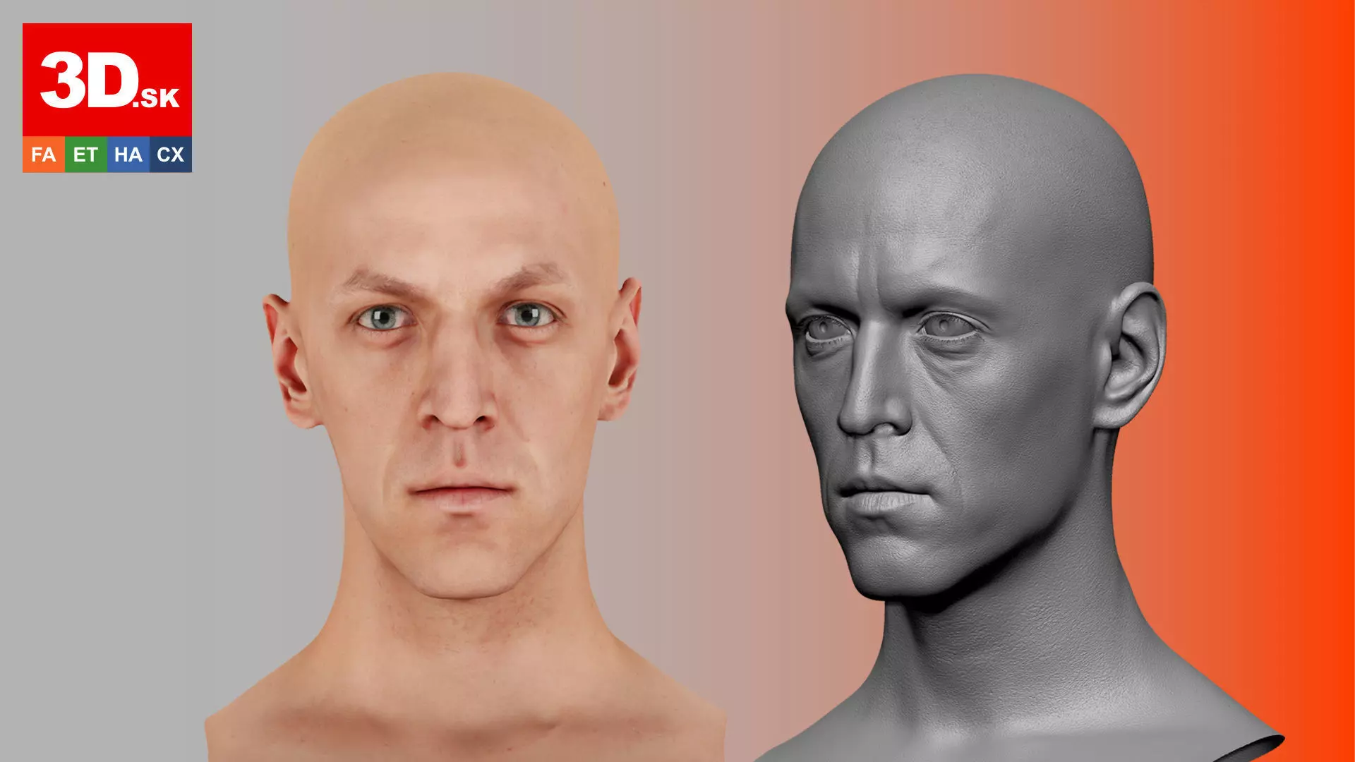 Retopologized Head Rylen Cannon 3D model