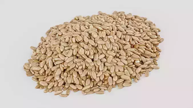 Rice brown Low-poly 3D model
