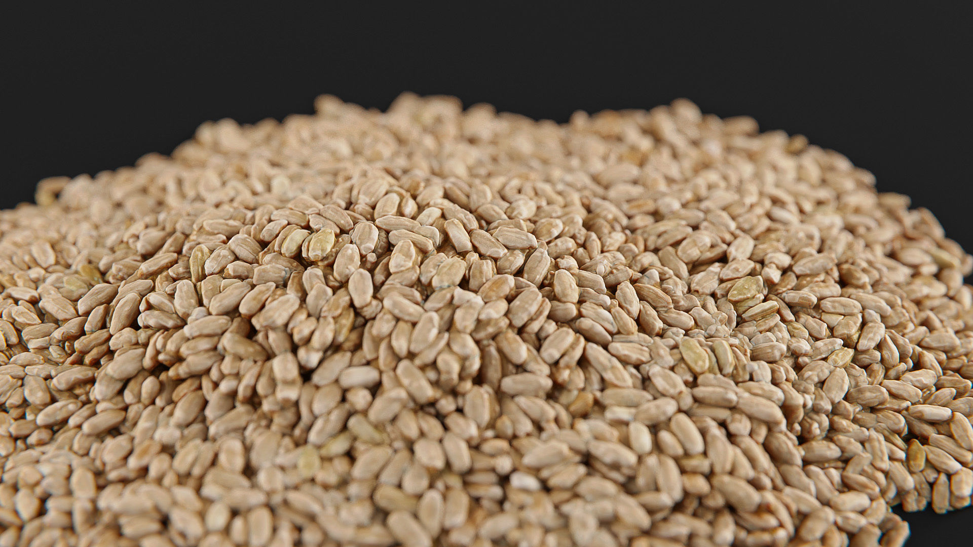 Rice brown Low-poly 3D model_18