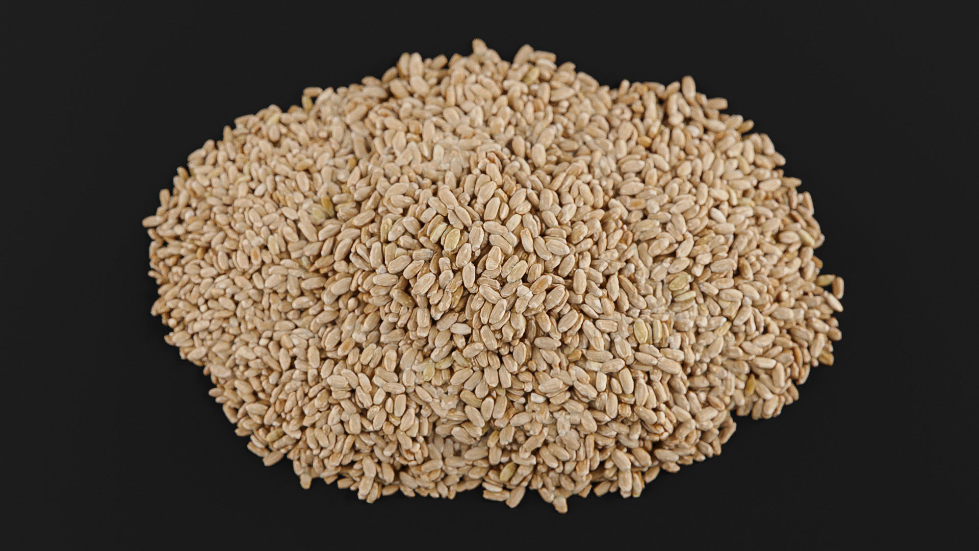 Rice brown Low-poly 3D model_17