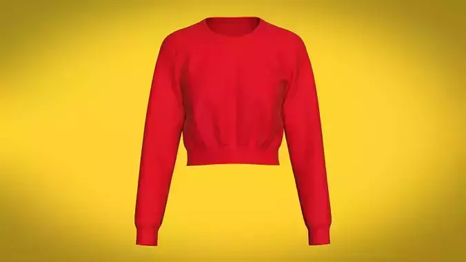 Cropped Sweatshirt for Women