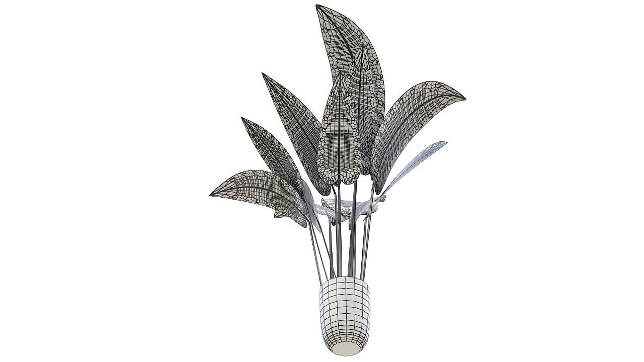 Babana plant 3D model_11