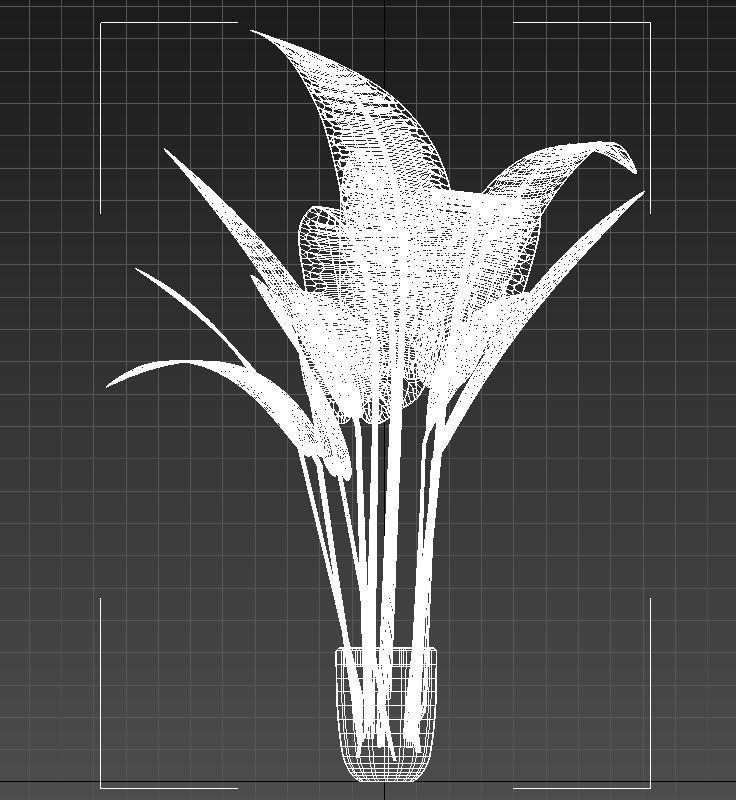 Babana plant 3D model_14