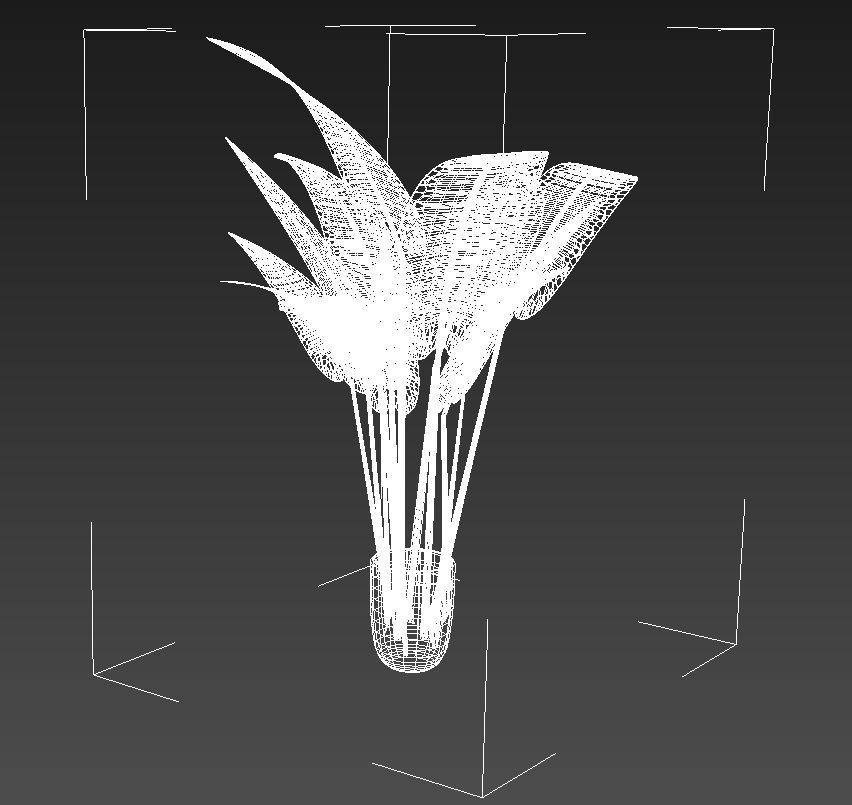 Babana plant 3D model_16