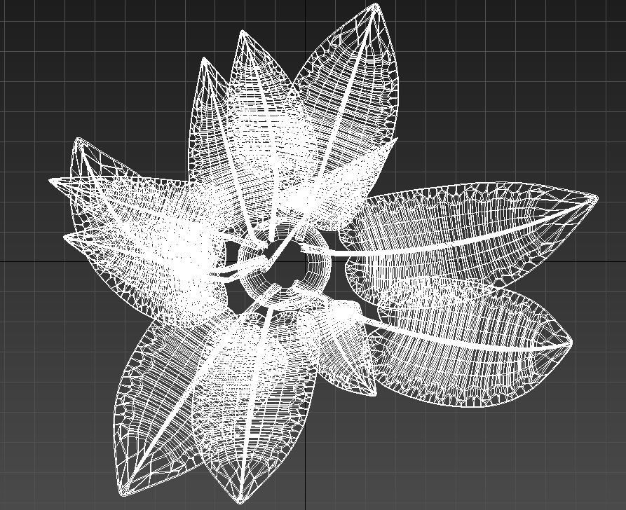 Babana plant 3D model_12