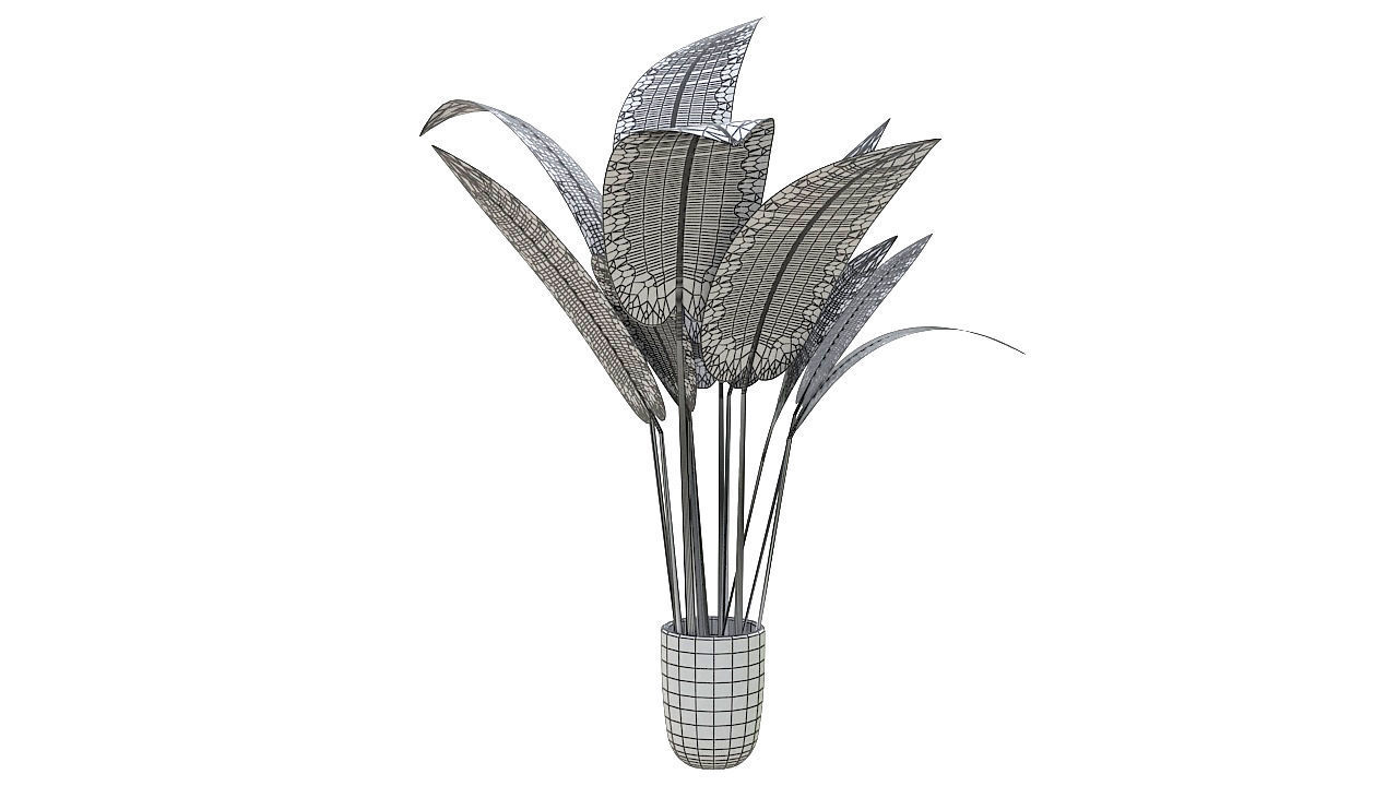 Babana plant 3D model_9