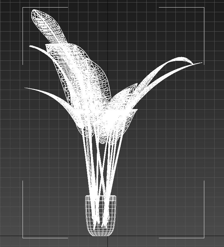 Babana plant 3D model_13