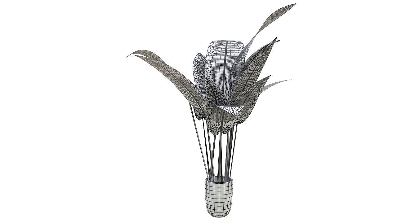 Babana plant 3D model_10