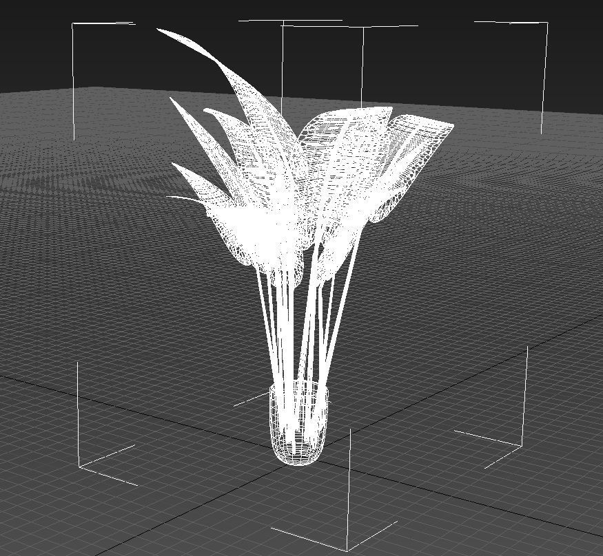 Babana plant 3D model_15