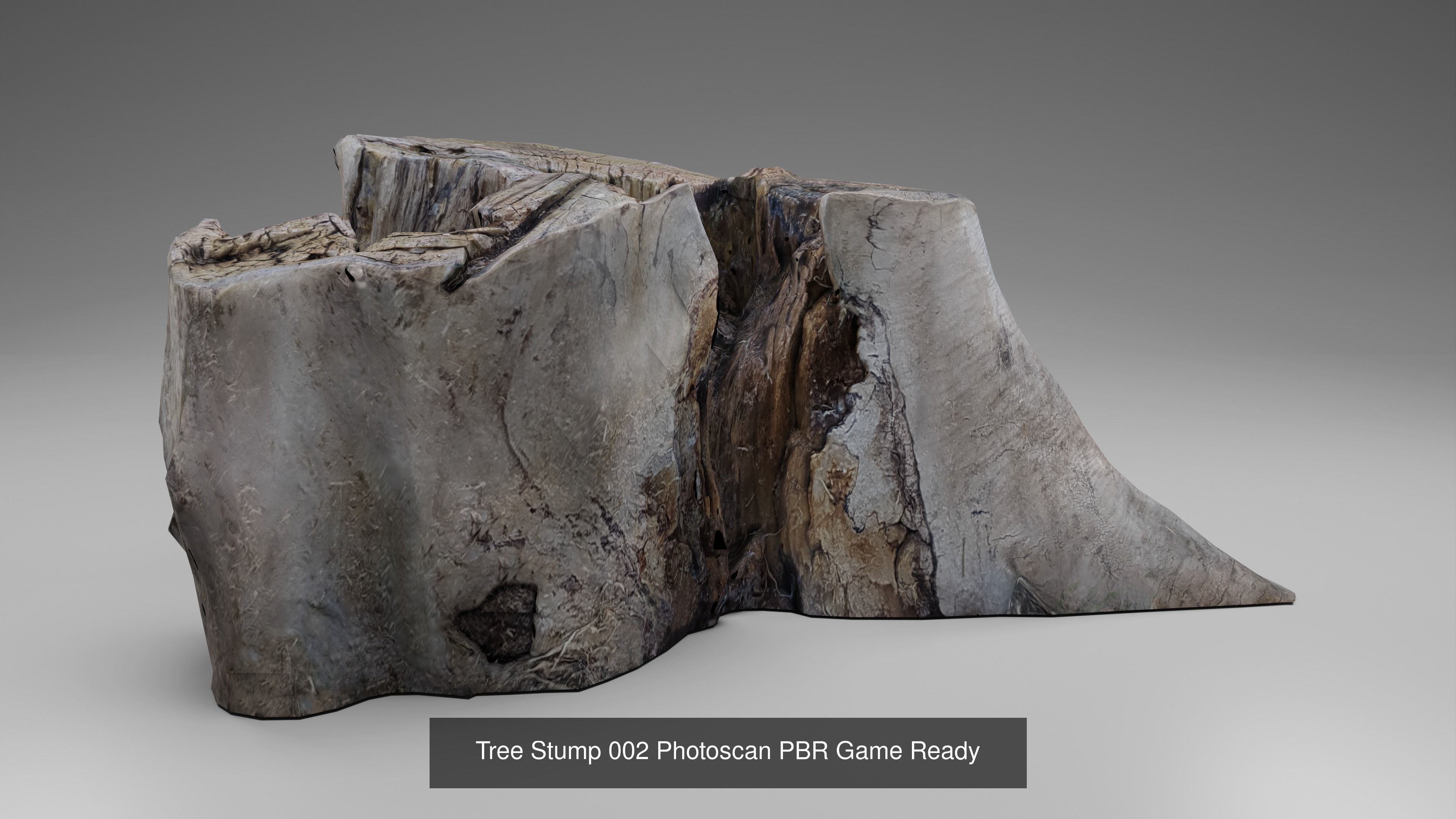 Tree Stump Collection 001-006 _16