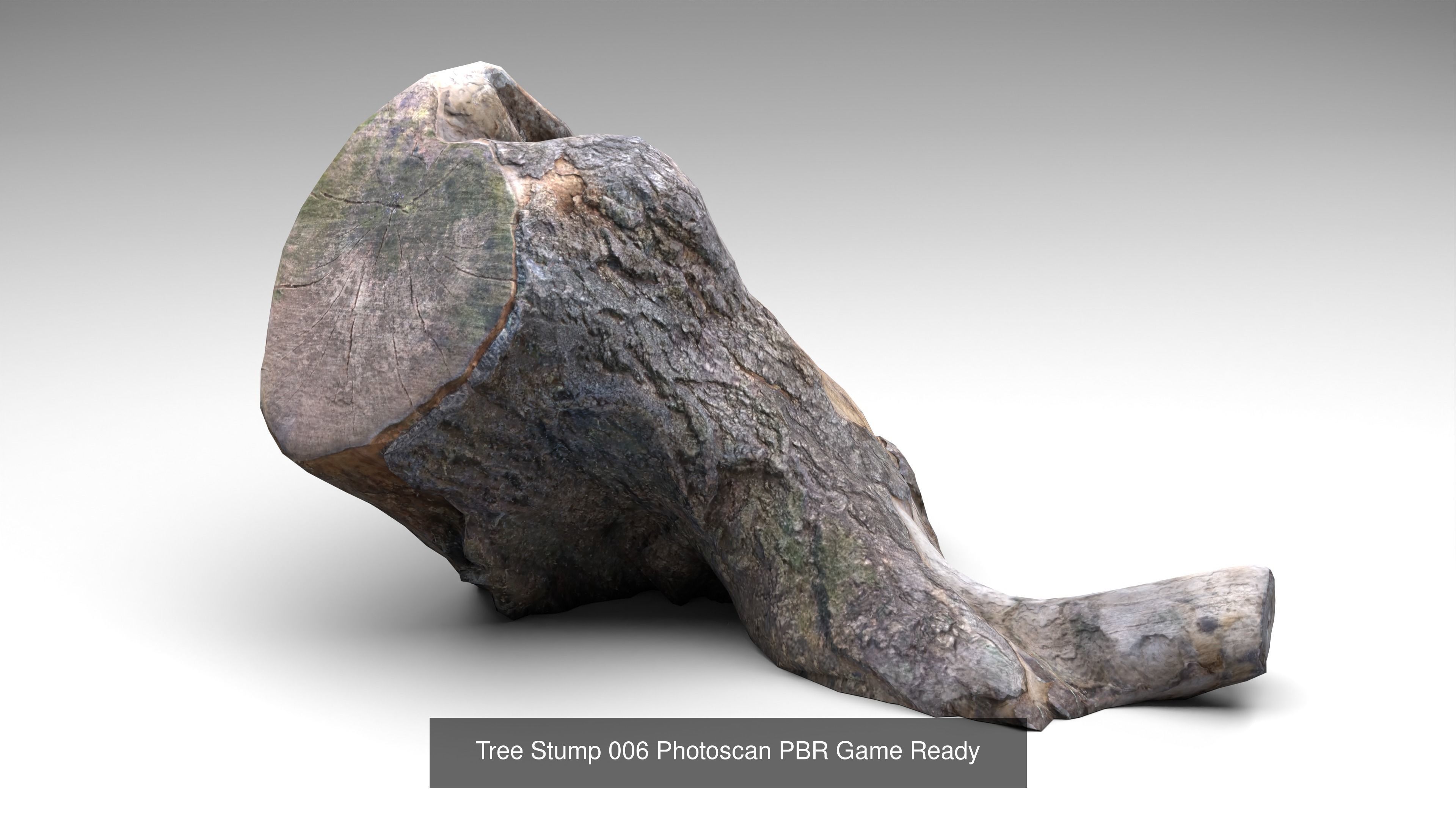 Tree Stump Collection 001-006 _20