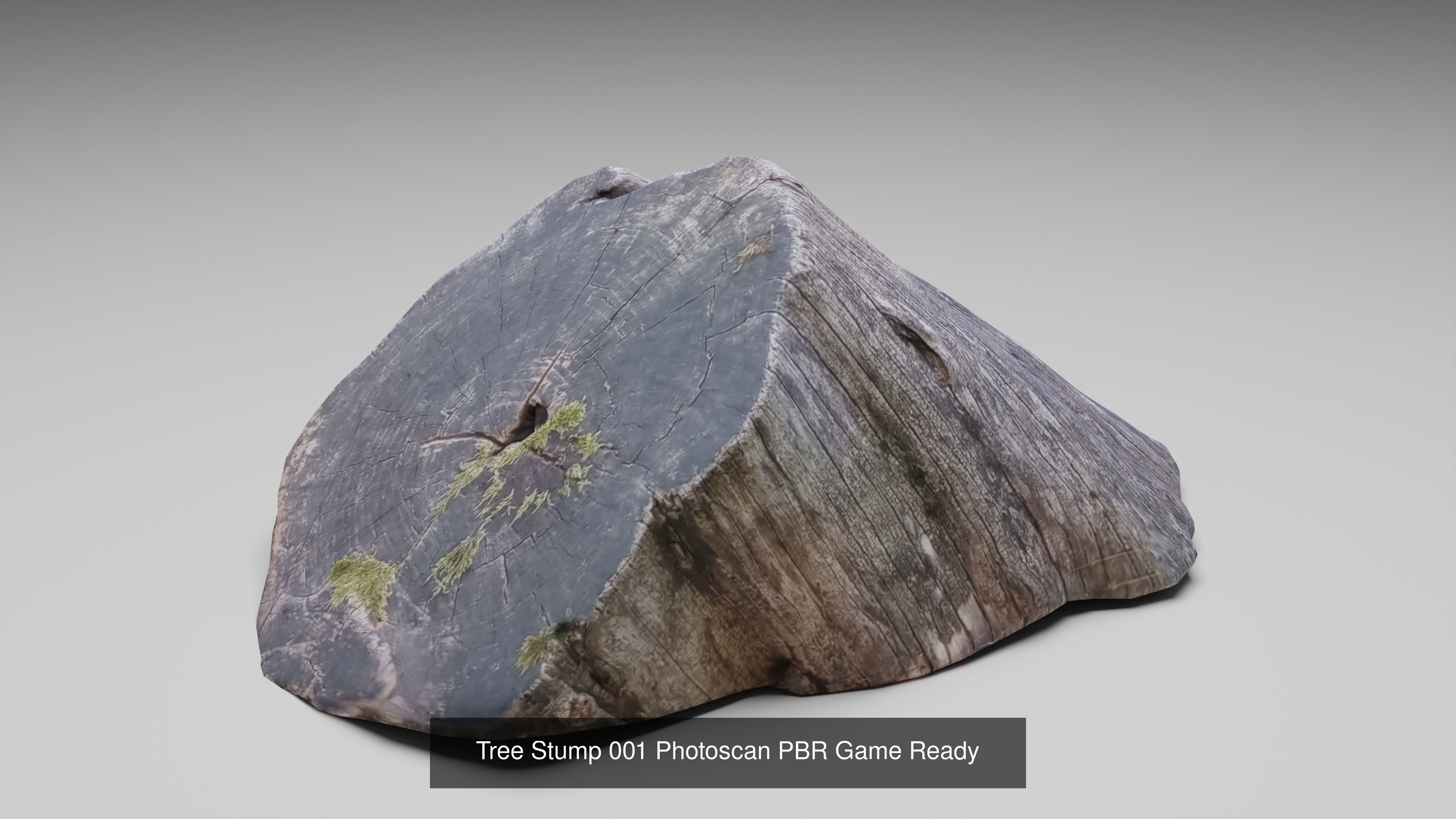 Tree Stump Collection 001-006 _15