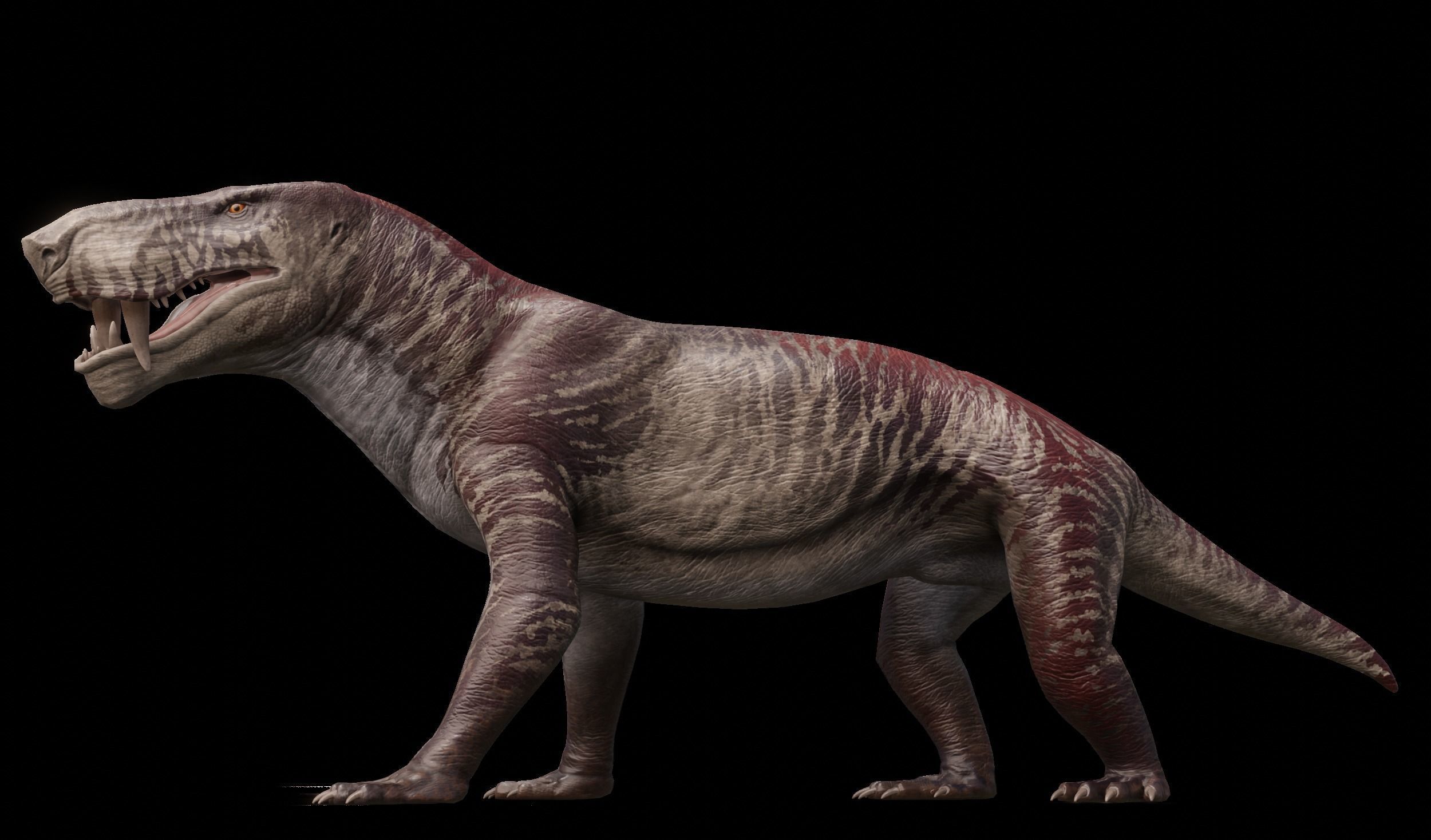 Inostrancevia Low-poly 3D model_2