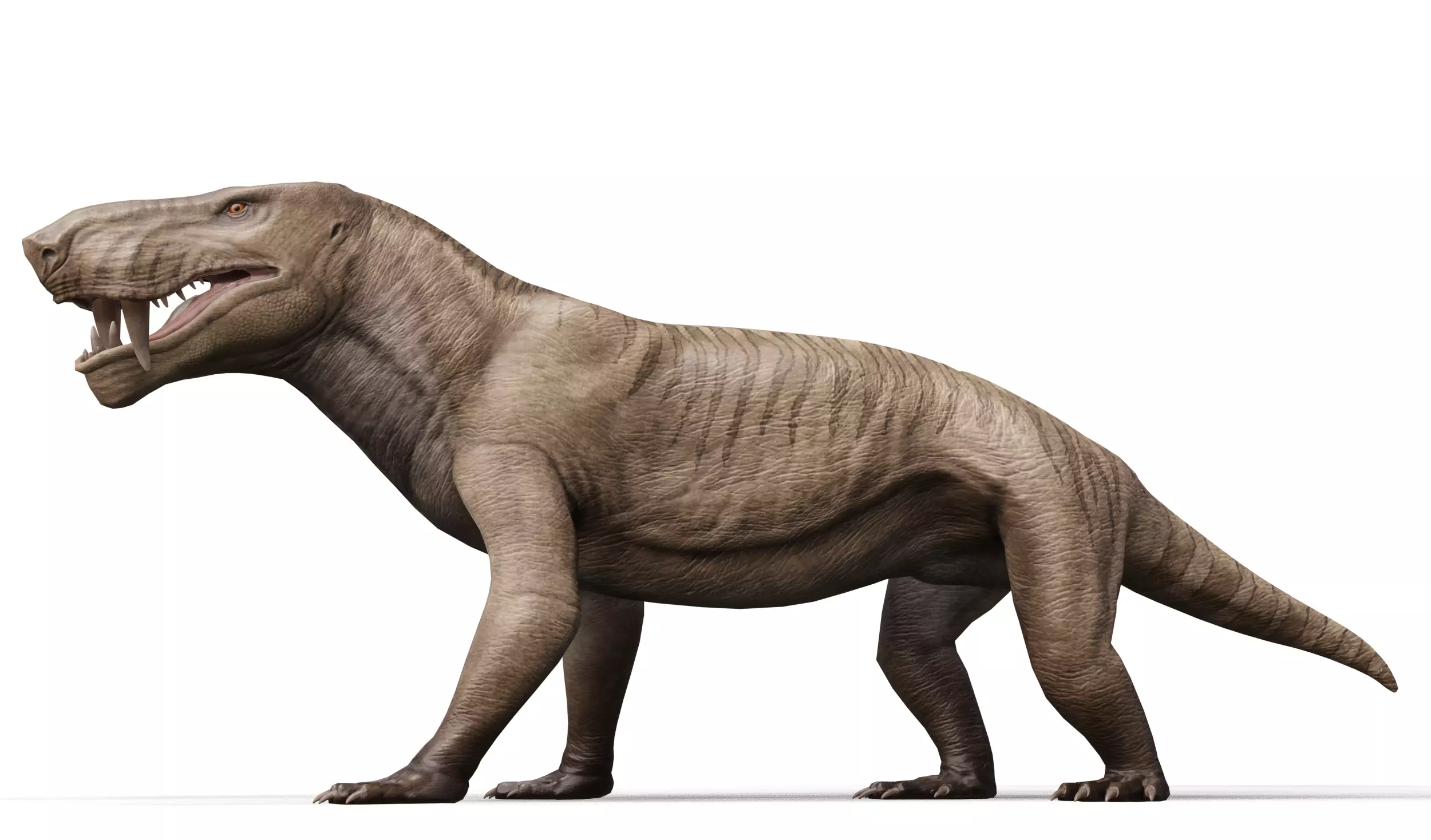 Inostrancevia Low-poly 3D model_0