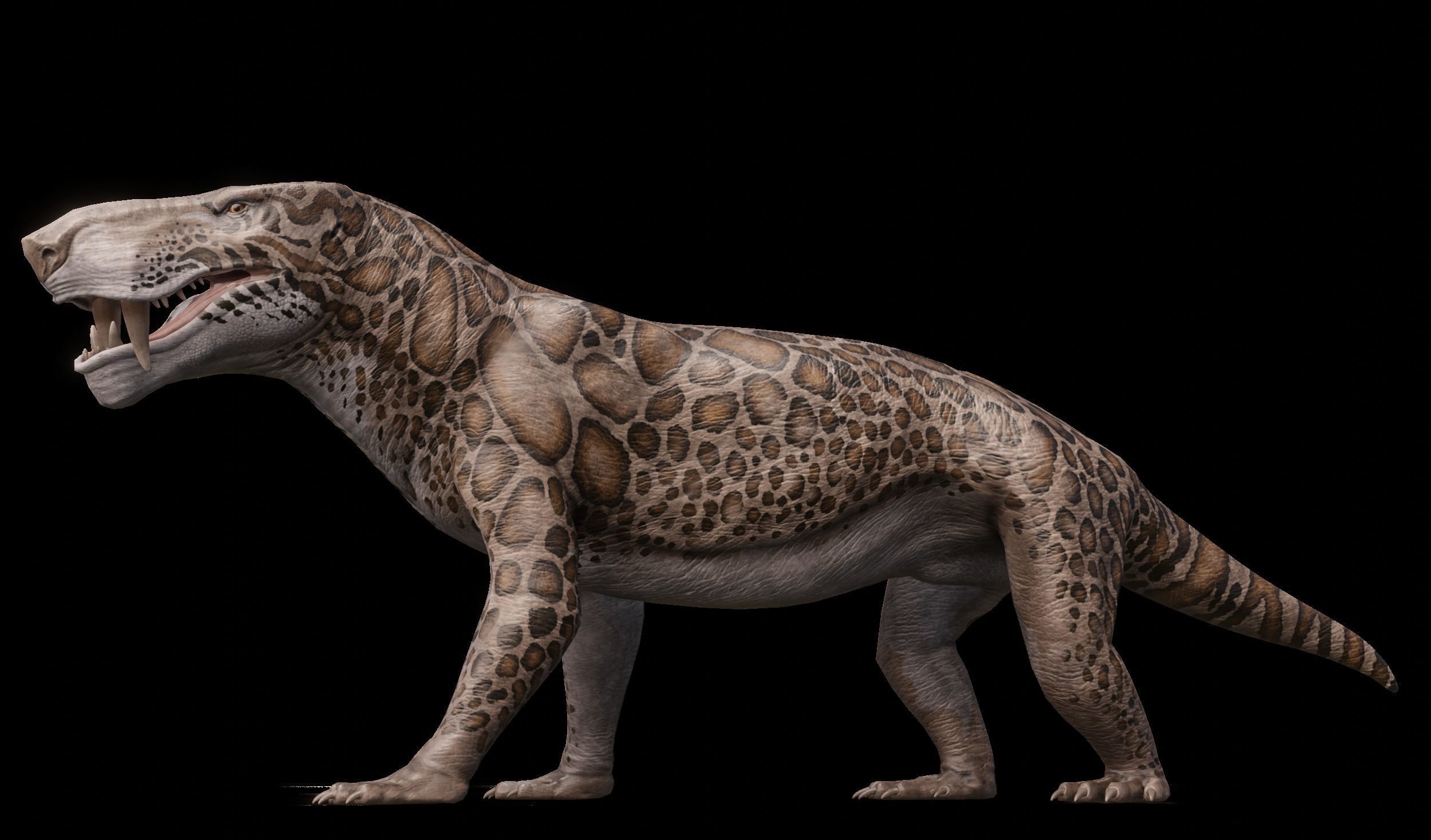 Inostrancevia Low-poly 3D model_4