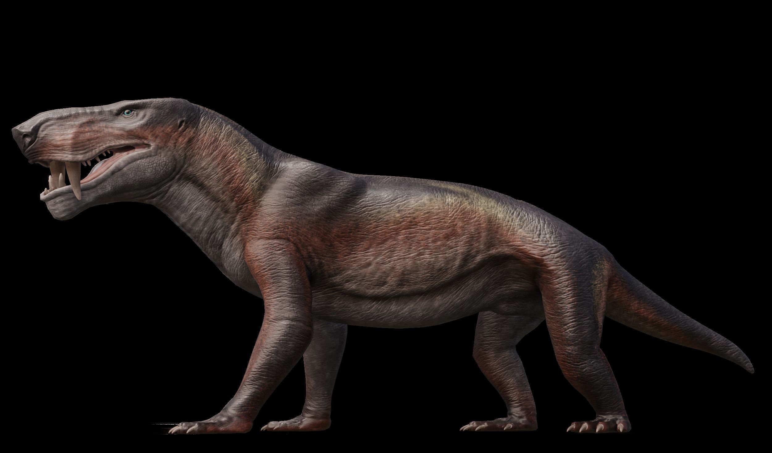 Inostrancevia Low-poly 3D model_5