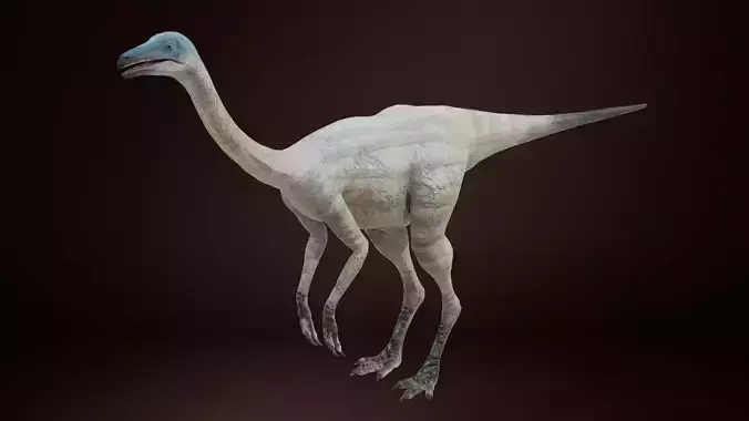 Struthiomimus dinosaur Low-poly 3D model