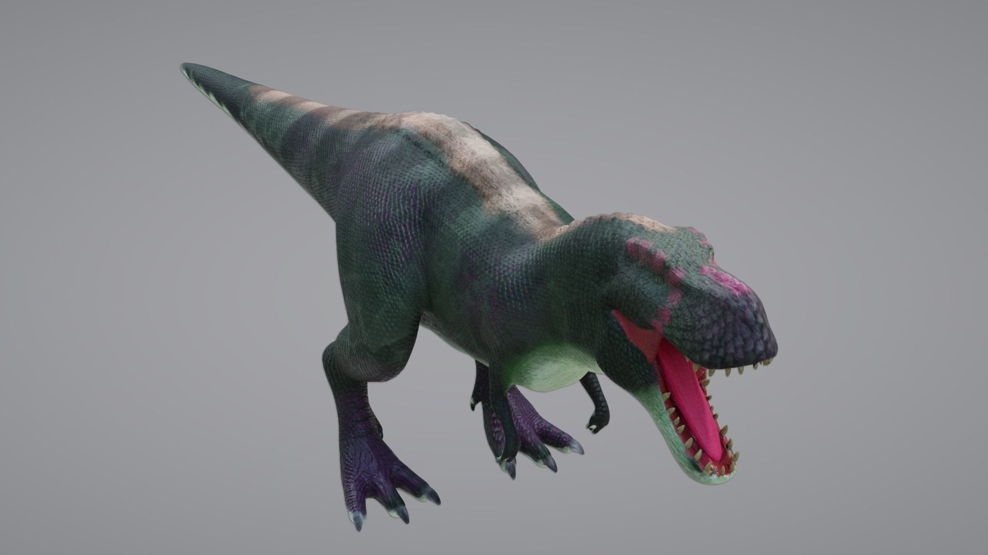 Tyrannosaurus Rex Low-poly 3D model_3