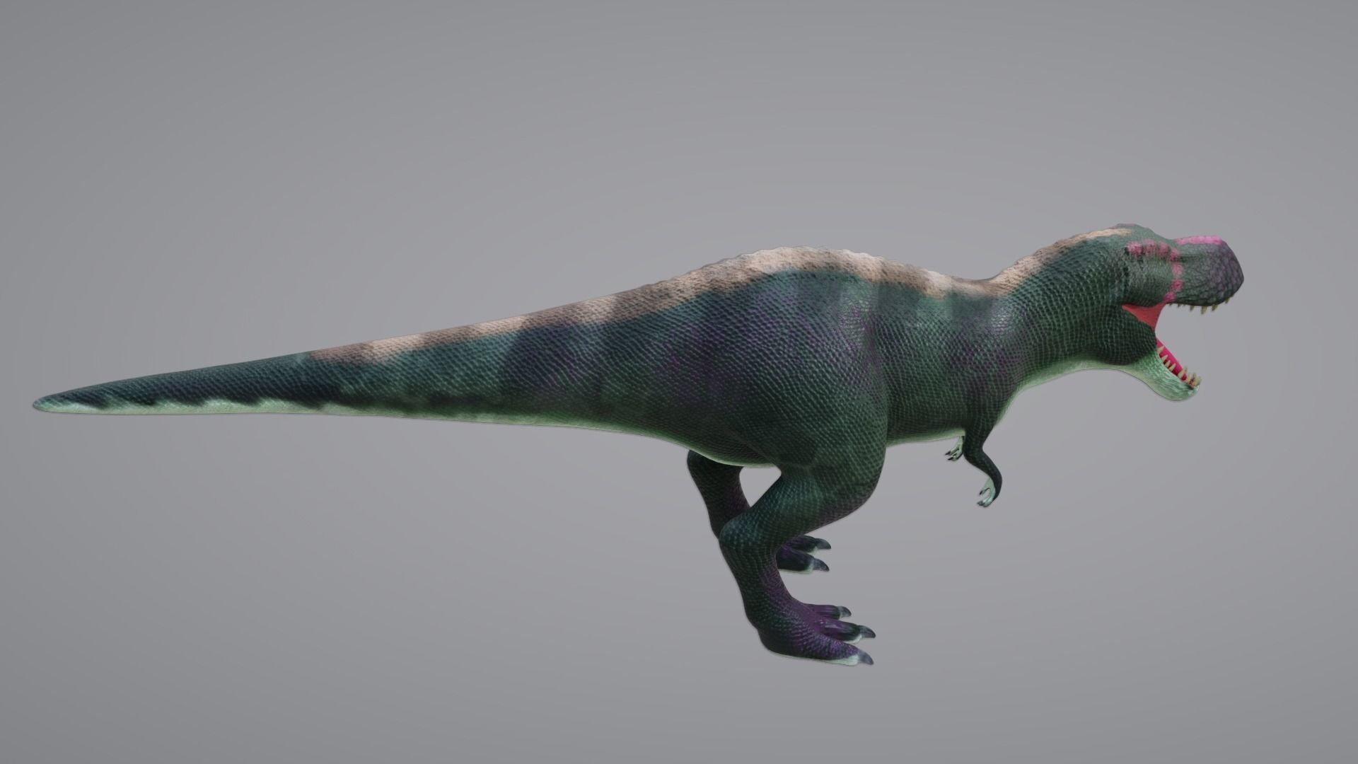 Tyrannosaurus Rex Low-poly 3D model_1