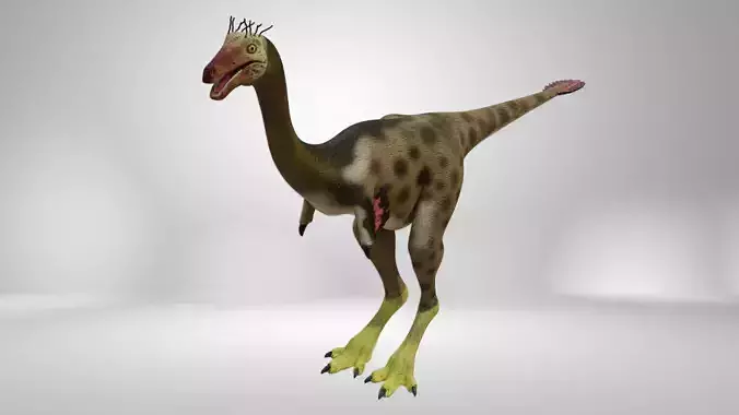 Mononykus dinosaur Low-poly 3D model