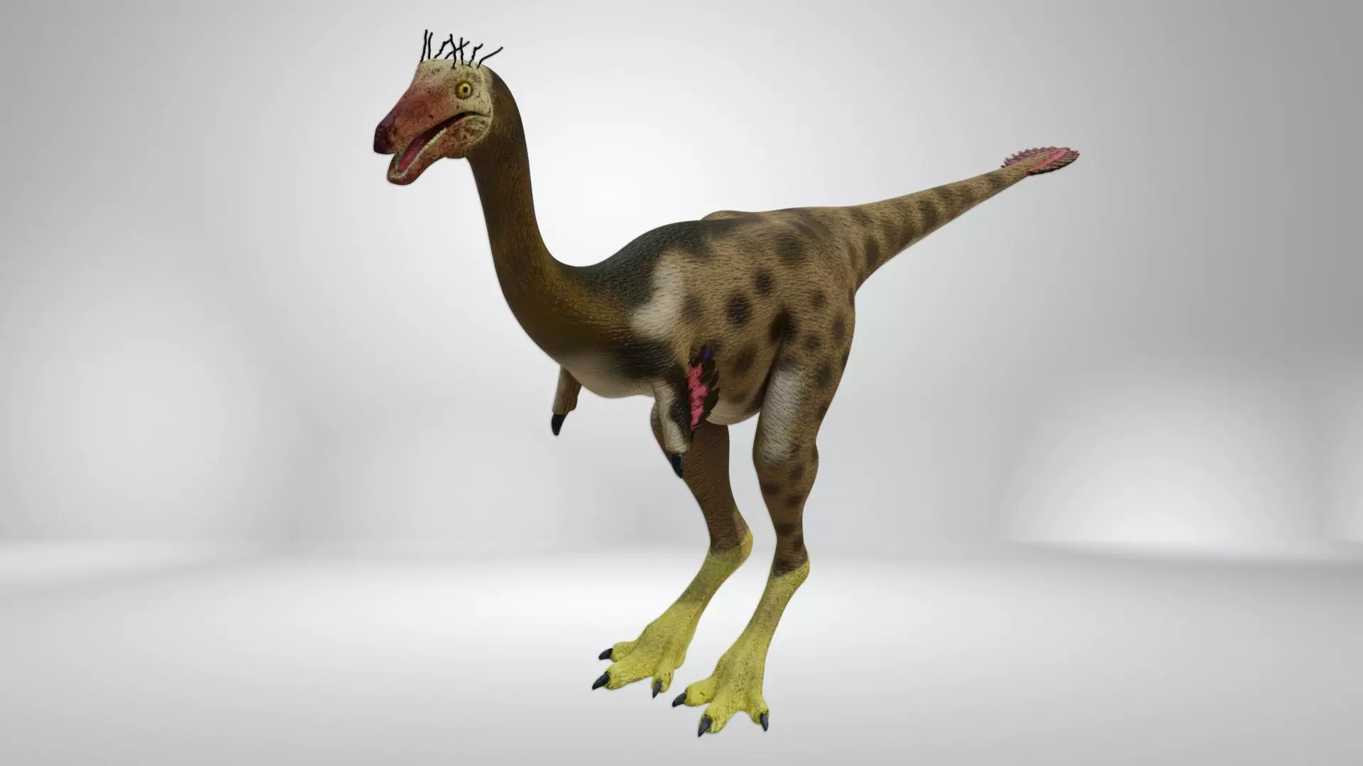 Mononykus dinosaur Low-poly 3D model_0