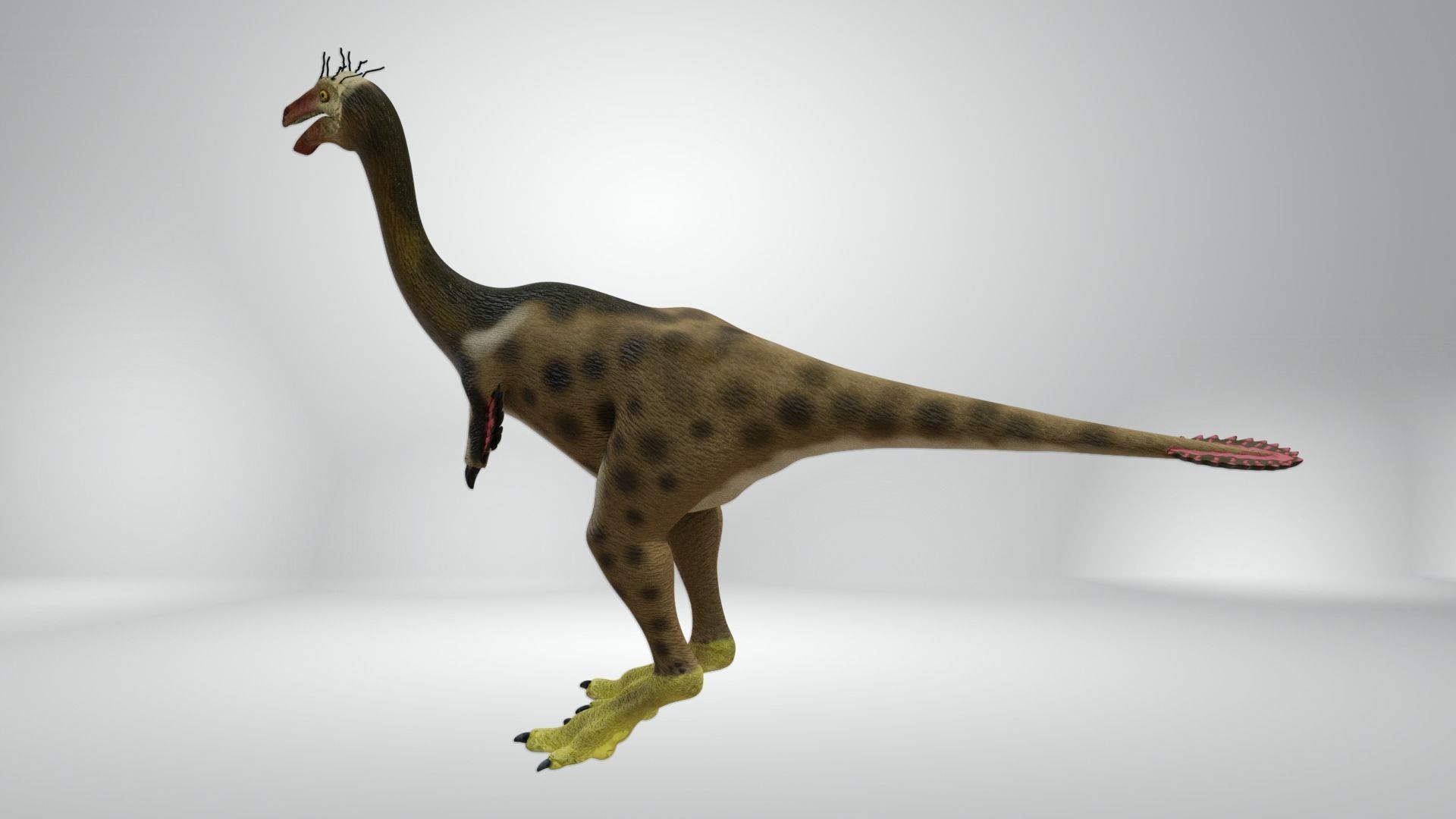 Mononykus dinosaur Low-poly 3D model_3