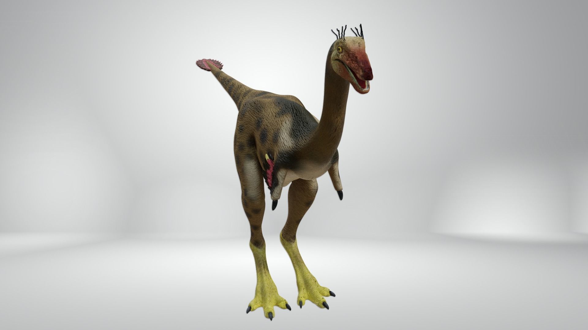 Mononykus dinosaur Low-poly 3D model_1