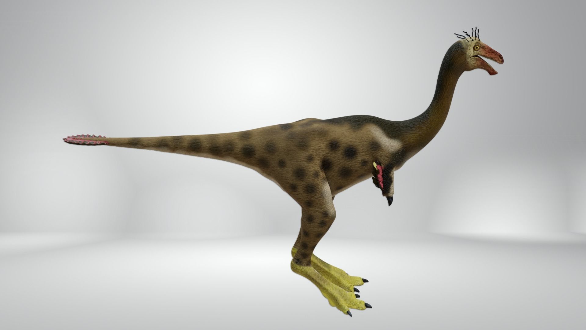 Mononykus dinosaur Low-poly 3D model_2