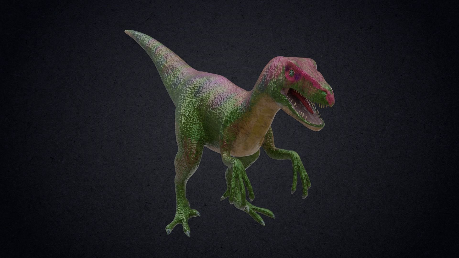 Compsognathus animatronic t - rex dinosaur Low-poly 3D model_3