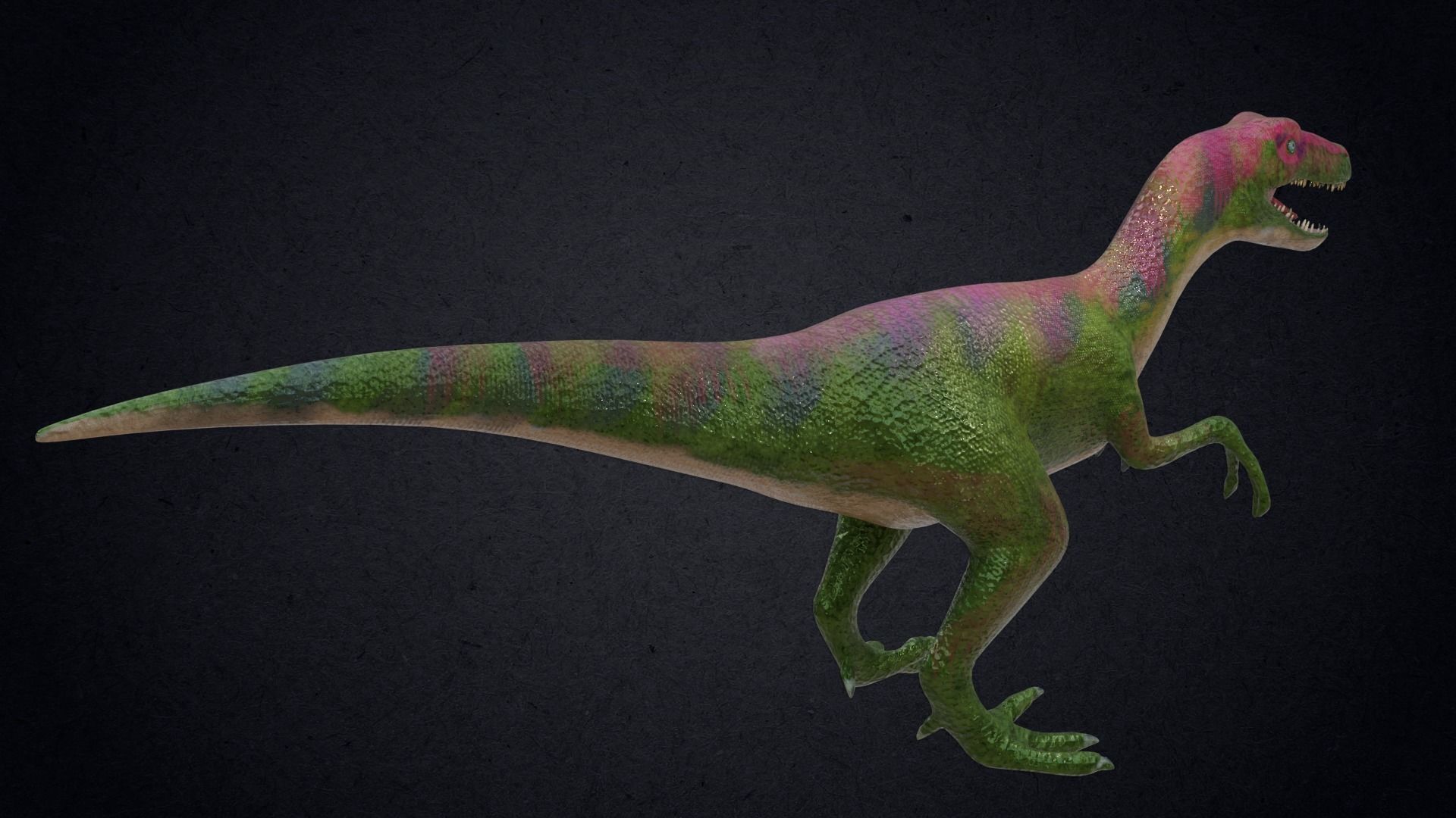 Compsognathus animatronic t - rex dinosaur Low-poly 3D model_2