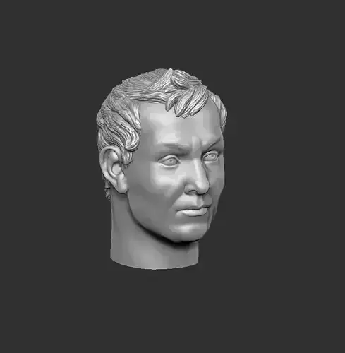 Head 1 bust of julius caesar 3D print model