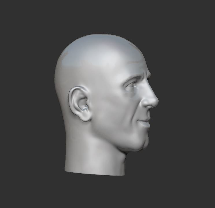 Head 3 3D print model_3