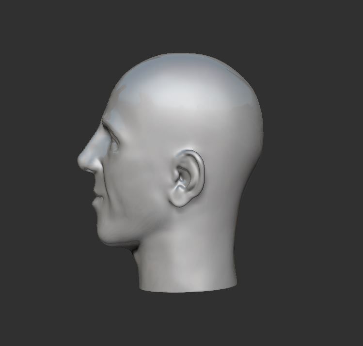 Head 3 3D print model_7