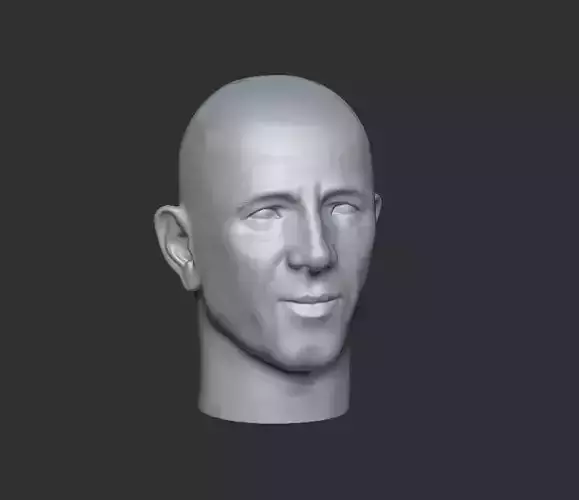 Head 3 3D print model