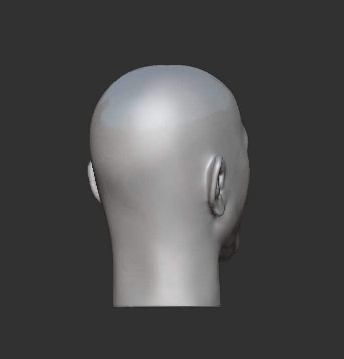 Head 3 3D print model_5